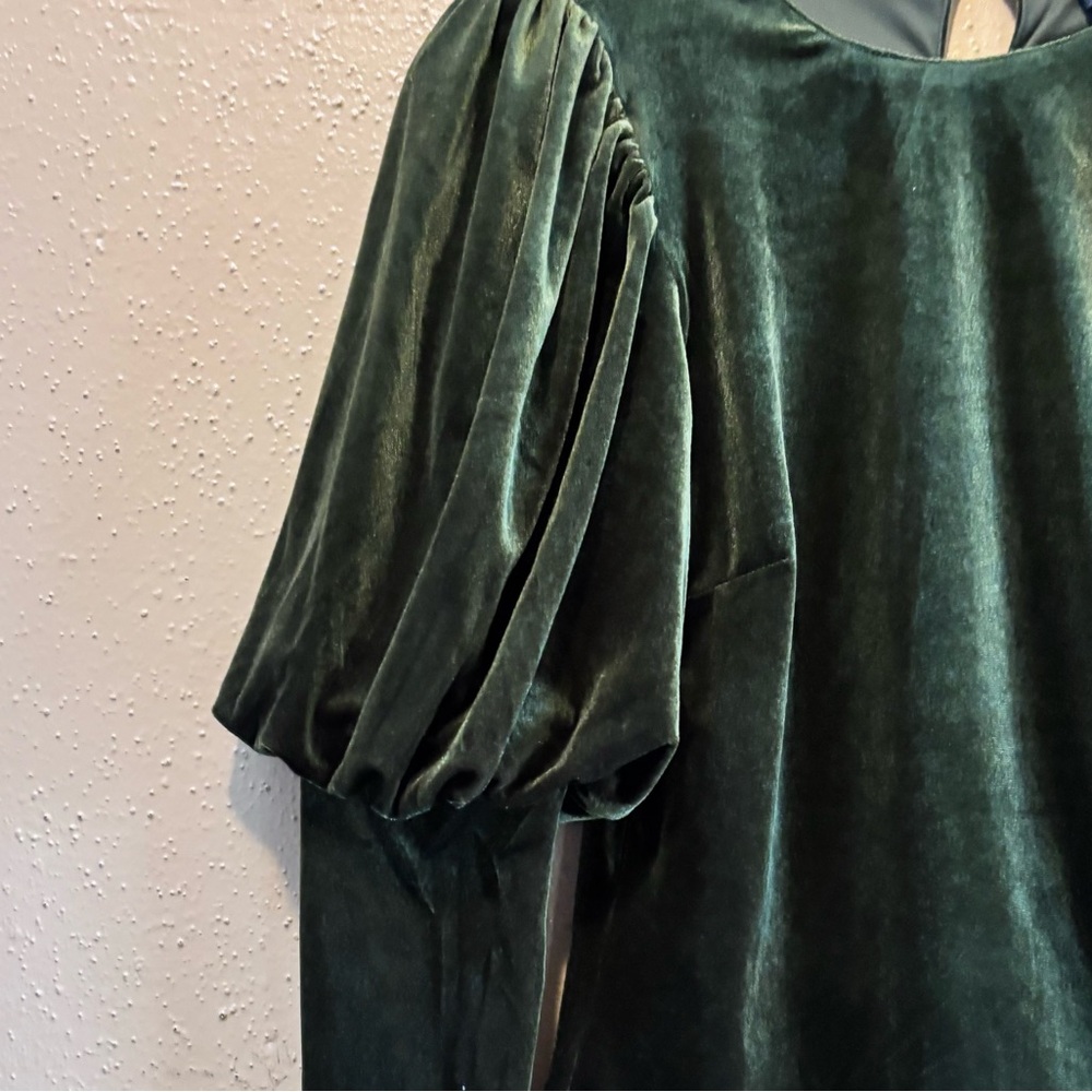 Sunday in Brooklyn Moss Green Velvet Puff Sleeve Top Blouse XS New With Tags - Picture 6 of 6